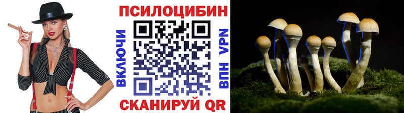 купить наркоту  Лобня  Галлюциногенные грибы Psilocybine cubensis 