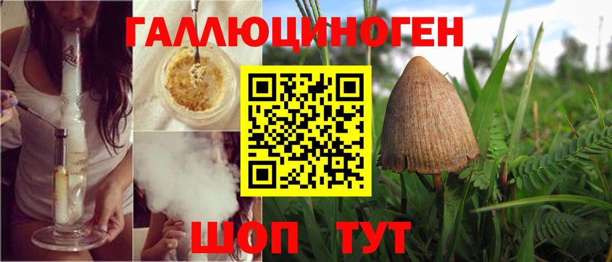 Псилоцибиновые грибы GOLDEN TEACHER Лобня